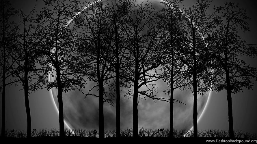 Spooky Black and White Silhouette of Bare Trees Against a Giant Moon HD wallpaper