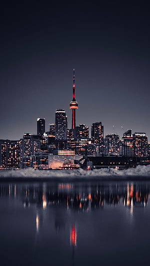 Toronto Skyline at Night with CN Tower Reflection on Lake Ontario HD phone wallpaper