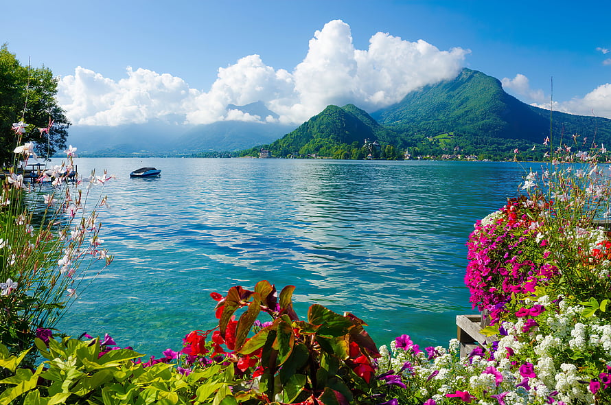 Lake Annecy shoreline with vibrant flower beds and green mountains under a bright blue sky HD wallpaper