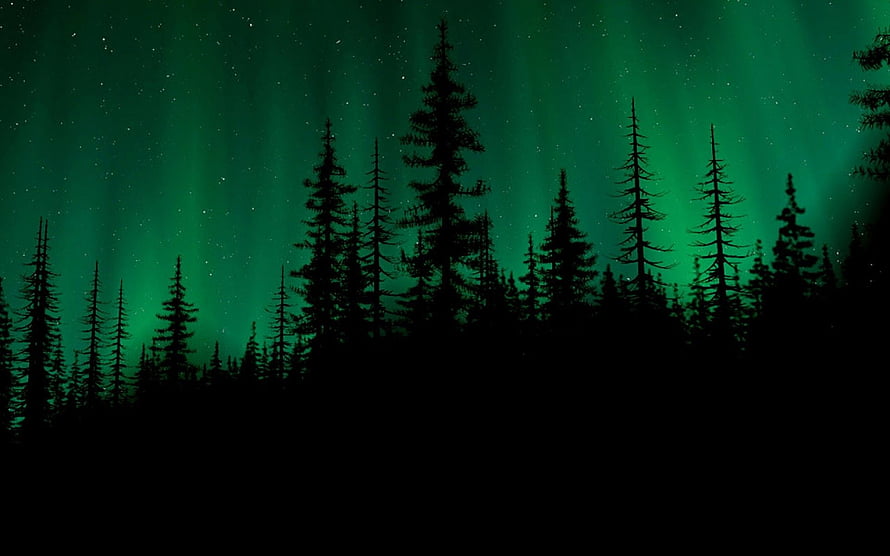 Green Aurora Borealis Over Silhouetted Pine Forest at Night HD wallpaper