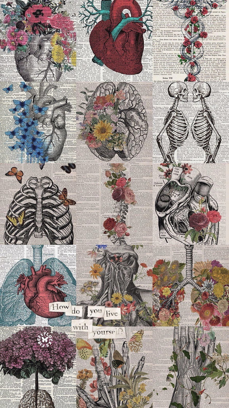 Vintage Medical Anatomy Collage with Botanical Flowers and Skeletons HD phone wallpaper