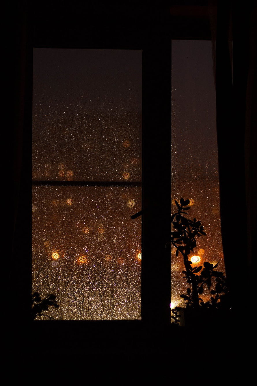 Raindrops on a Window Pane at Night with Warm City Lights and Plant Silhouettes HD phone wallpaper