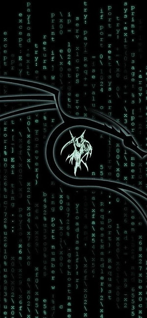 Kali Linux Matrix Code Rain with Glowing Dragon Silhouette on Dark Background HD phone wallpaper
