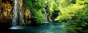 Serene Forest Waterfall Cascading Into a Turquoise Pool Surrounded by Lush Green Foliage HD wallpaper