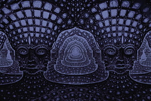 Alex Grey Psychedelic Artwork Featuring Symmetrical Faces and Intricate Mandala Patterns HD wallpaper