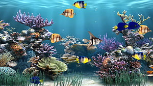 Vibrant Underwater Coral Reef Scene With Colorful Tropical Fish Swimming In Blue Ocean HD wallpaper