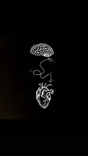 Brain and Heart Connected by Electrical Plug Illustration HD phone wallpaper