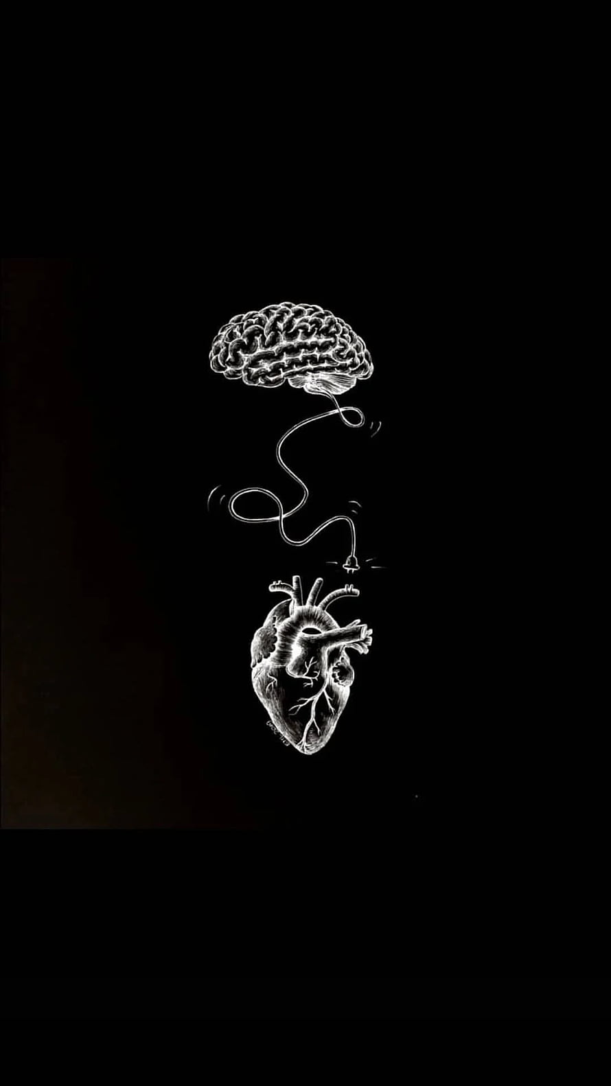 Brain and Heart Connected by Electrical Plug Illustration HD phone wallpaper