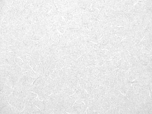 Subtle White Paper Texture with Fine Fibrous Grain and Soft Natural Surface Detail HD wallpaper