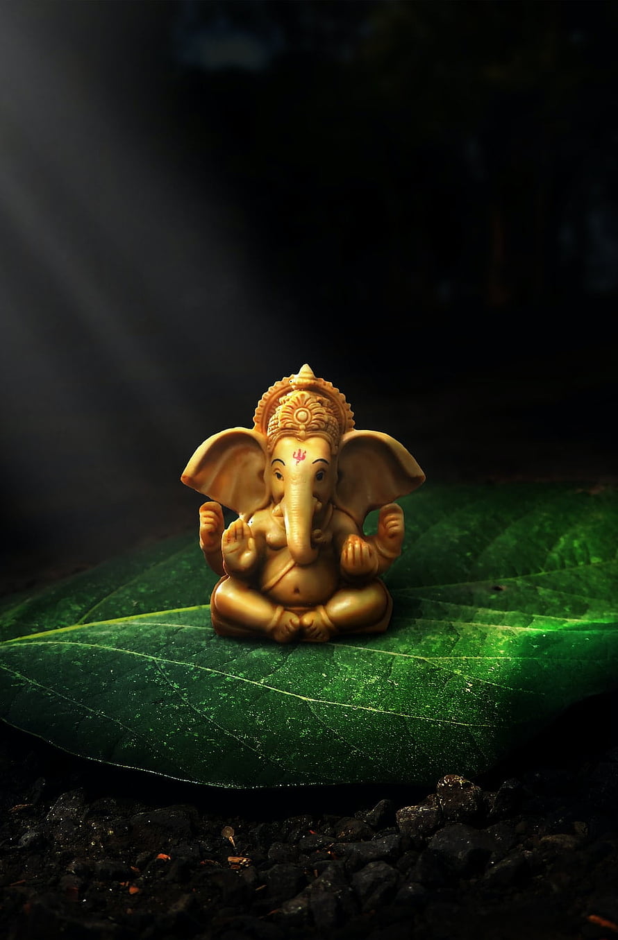 Golden Ganesha Idol Sitting on a Large Green Leaf in Nature HD phone wallpaper
