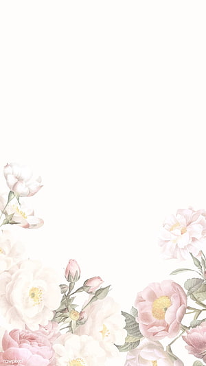 Elegant Watercolor Floral Frame with Soft Pink and White Roses on White Background HD phone wallpaper