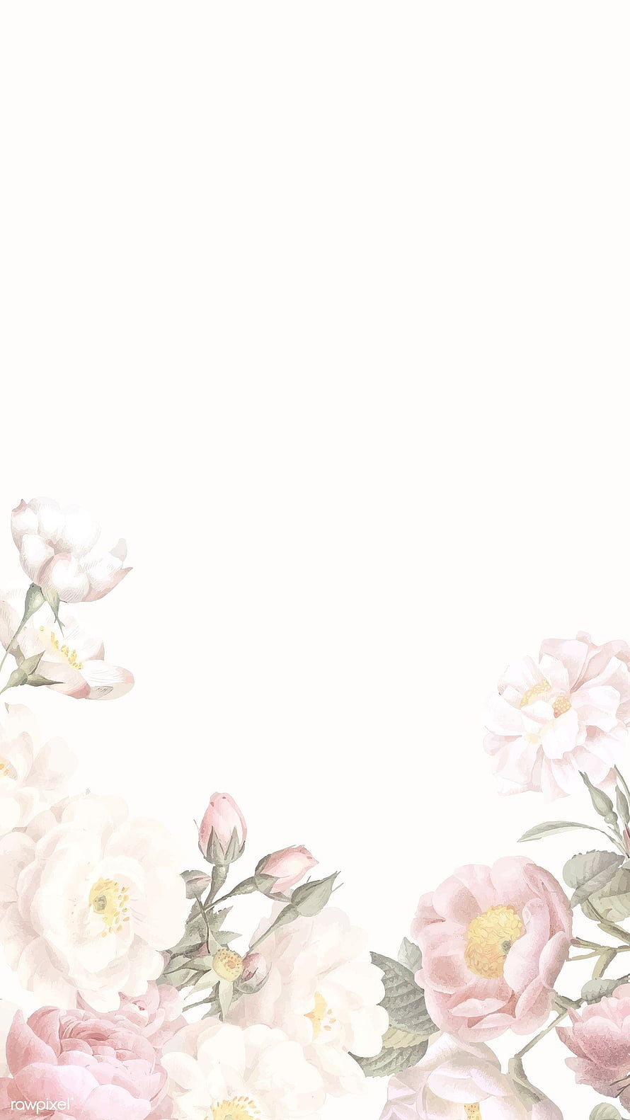 Elegant Watercolor Floral Frame with Soft Pink and White Roses on White Background HD phone wallpaper