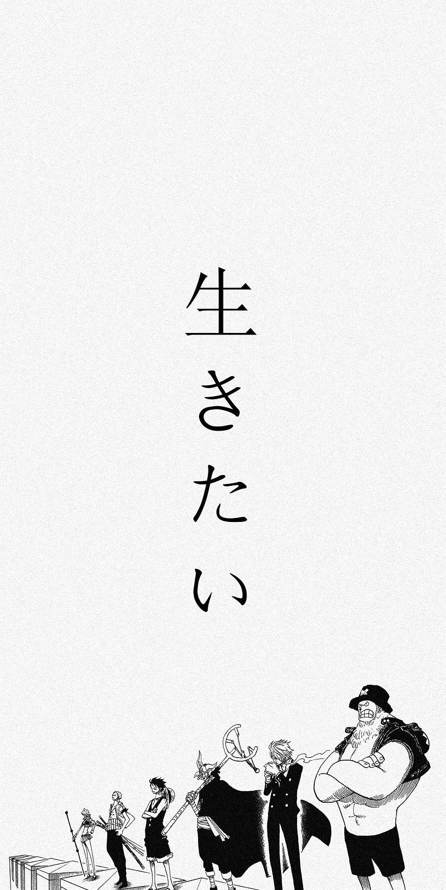 One Piece Straw Hat Crew Standing in a Row with Japanese Text HD phone wallpaper