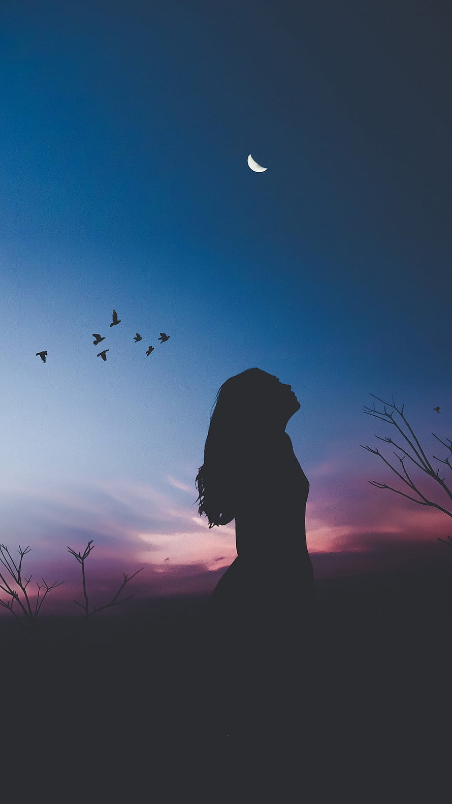 Silhouette of a Woman Looking Up at the Crescent Moon and Birds in a Twilight Sky, Alone Girl, Sad Girl HD phone wallpaper