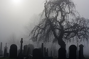 Eerie Foggy Cemetery with Silhouetted Tombstones and Bare Tree HD wallpaper