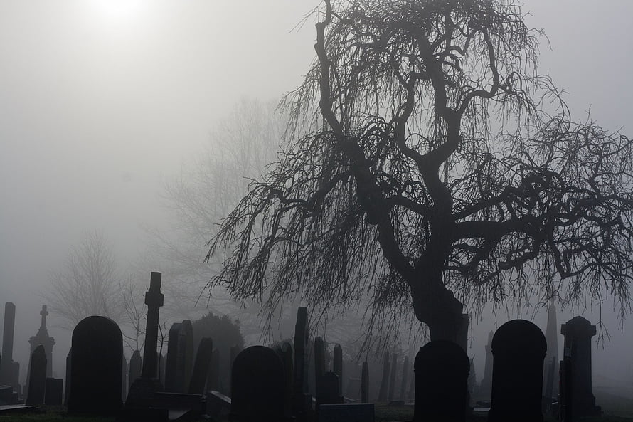 Eerie Foggy Cemetery with Silhouetted Tombstones and Bare Tree HD wallpaper