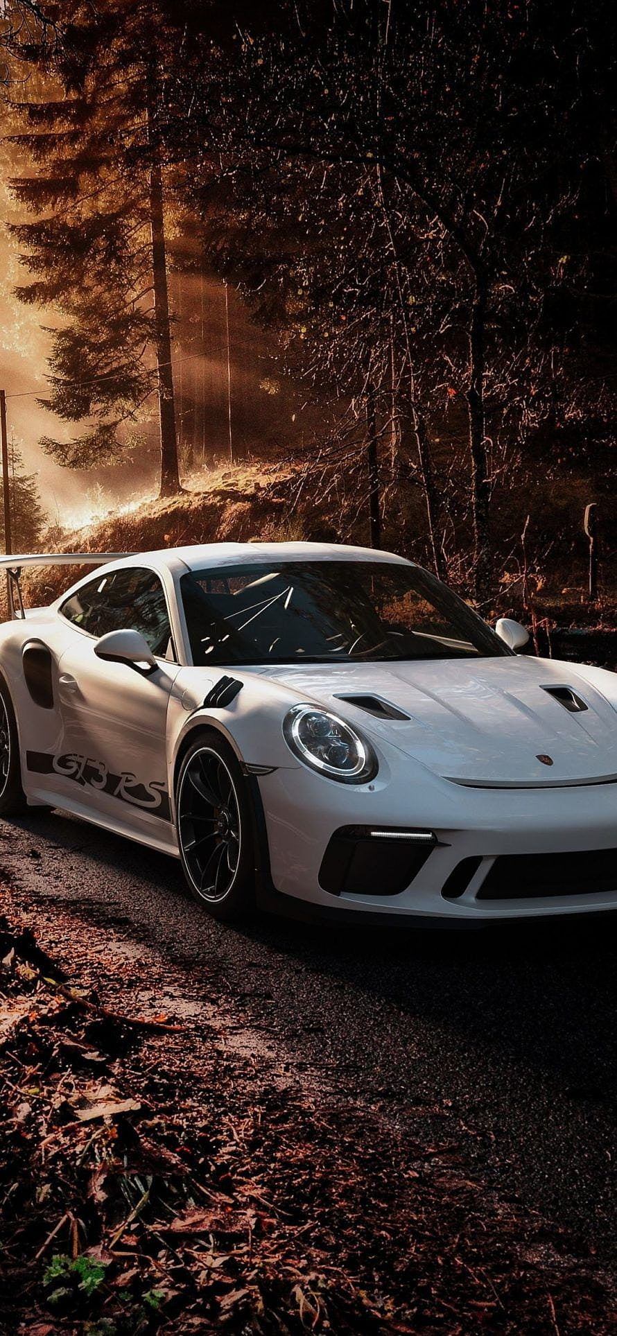 White Porsche 911 GT3 RS parked on a forest road with golden sunlight filtering through trees HD phone wallpaper