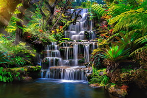 Serene Tropical Waterfall Cascading Through Lush Green Jungle Forest HD wallpaper