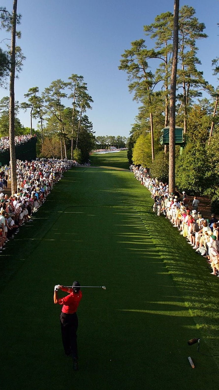 Tiger Woods tees off on the fairway at the Masters with a large crowd lining the course HD phone wallpaper