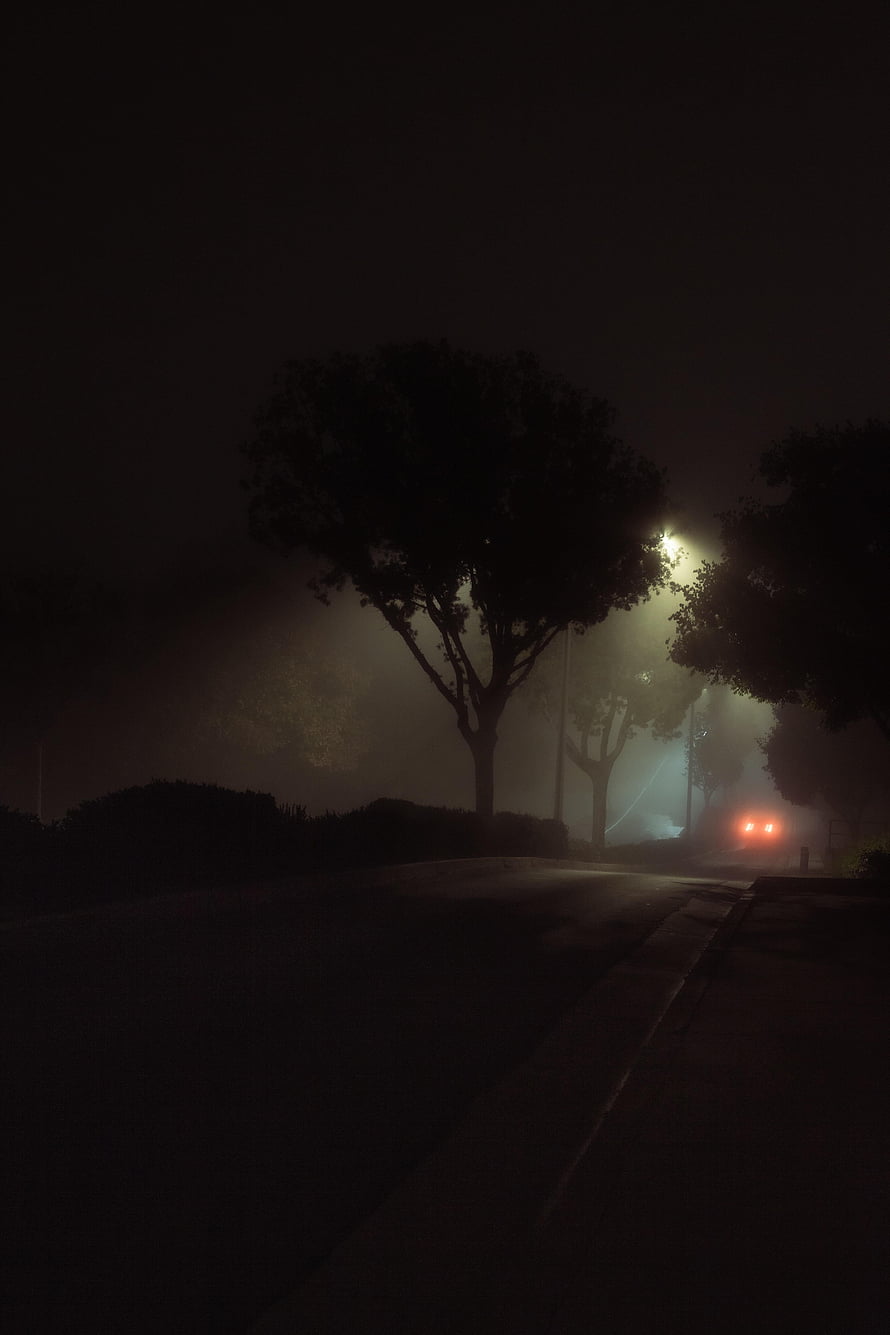 Eerie Foggy Street at Night with Streetlights and Silhouetted Trees HD phone wallpaper