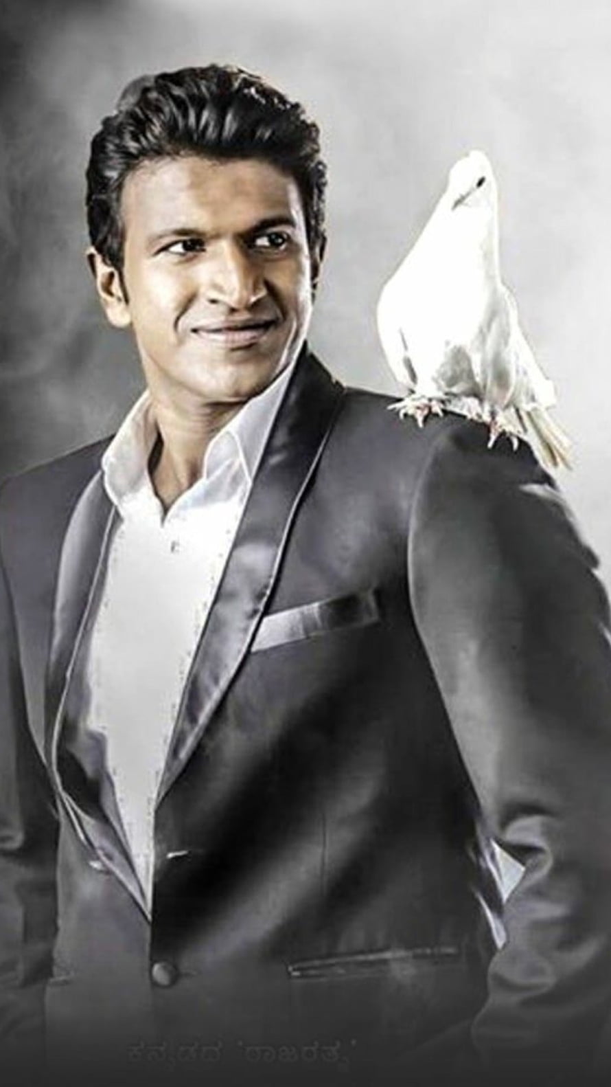 Ranveer Singh in a black suit with a white dove perched on his shoulder HD phone wallpaper