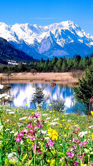Alpine Lake Reflections With Snow-Capped Peaks And Spring Wildflowers HD phone wallpaper
