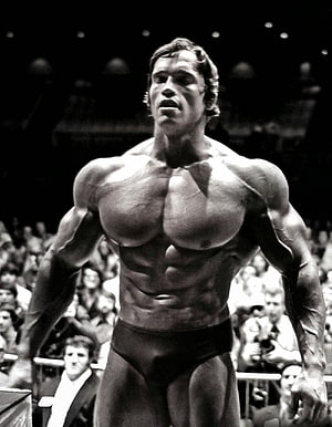 Arnold Schwarzenegger Classic Bodybuilding Pose Black and White Stage Photo HD phone wallpaper