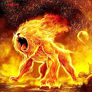 Fierce Roaring Fire Lion Digital Art with Intense Flames and Golden Glow HD phone wallpaper