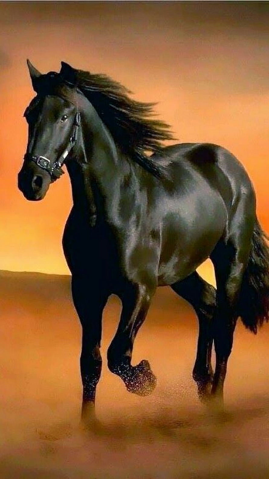 Majestic Black Horse Trotting Through Dusty Sunset Landscape HD phone wallpaper