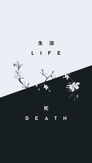 Minimalist Black and White Life and Death Concept with Cherry Blossoms HD phone wallpaper