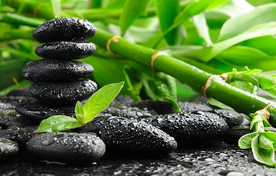 Stacked black zen stones with water droplets and fresh green bamboo leaves in a tranquil spa setting HD wallpaper