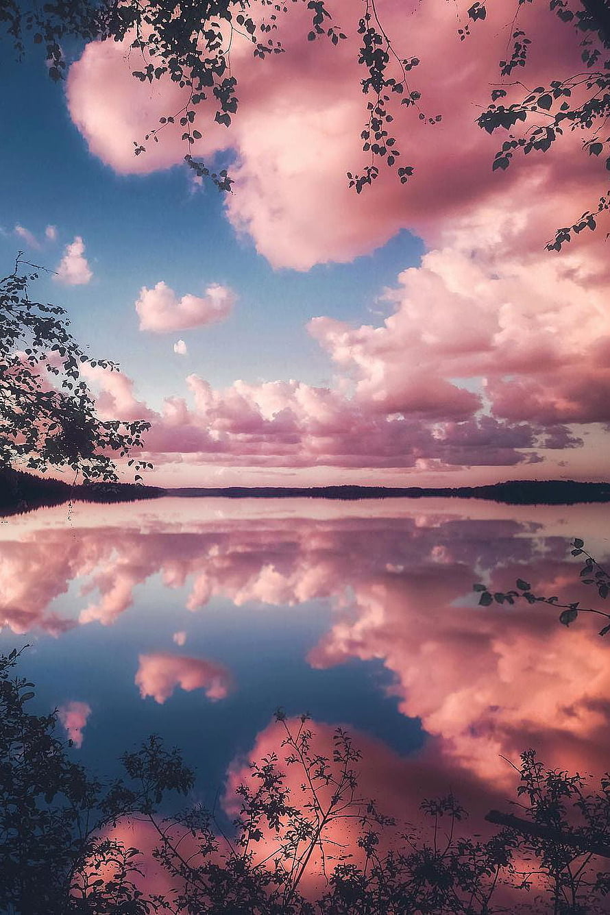 Pink Clouds Reflected in a Calm Lake at Sunset with Silhouetted Tree Branches HD phone wallpaper