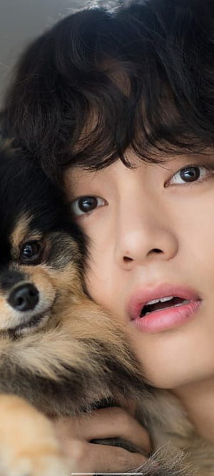 V BTS Cuddling Small Fluffy Dog in Close Up Portrait HD phone wallpaper
