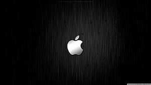 Apple Logo on Dark Brushed Metal Background HD wallpaper