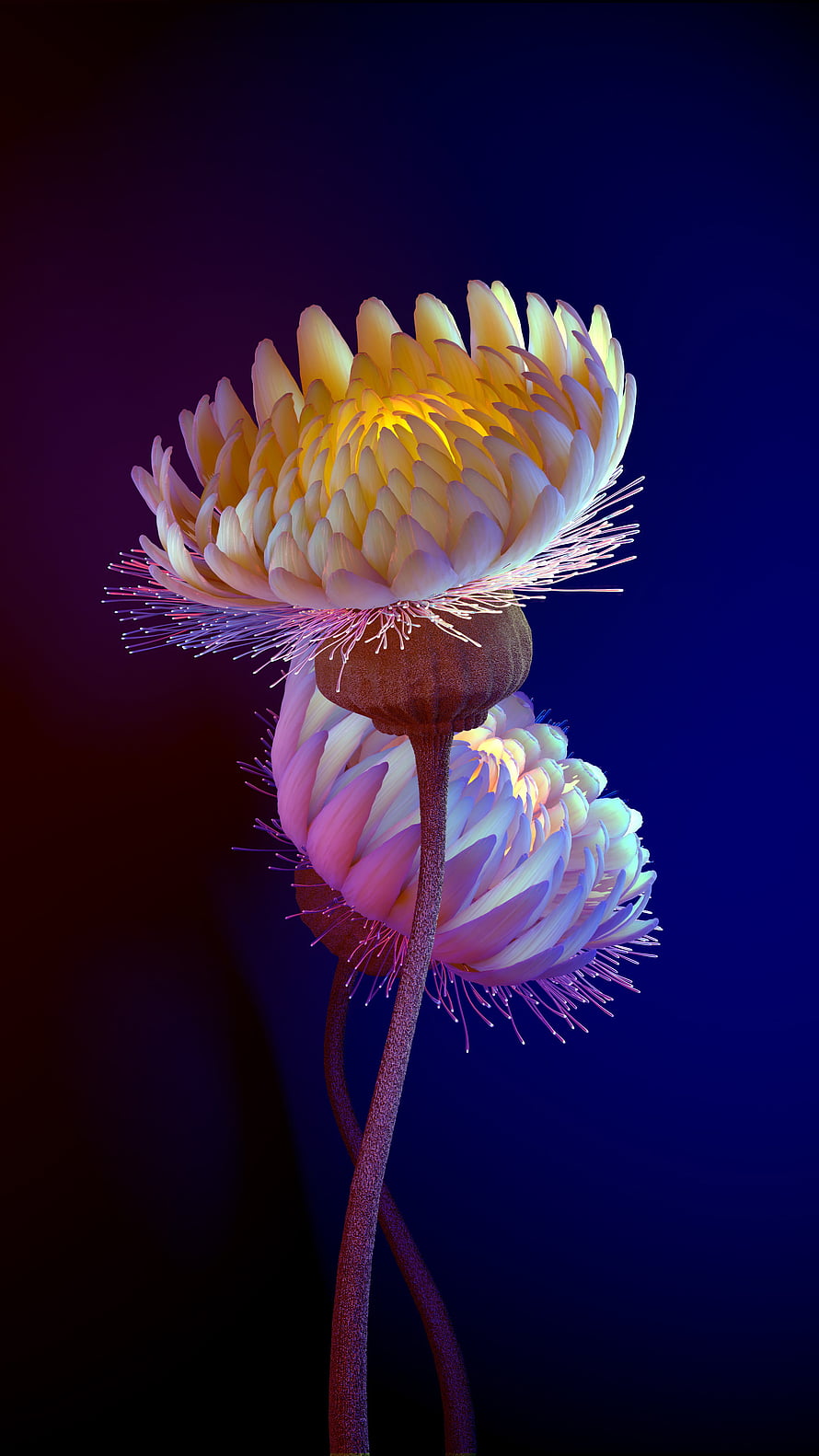 Glowing Bioluminescent Flowers with Neon Petals and Filaments on Dark Background HD phone wallpaper