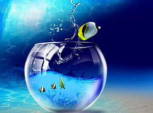 Tropical Fish Leaping Out of a Glass Bowl Underwater Scene HD wallpaper