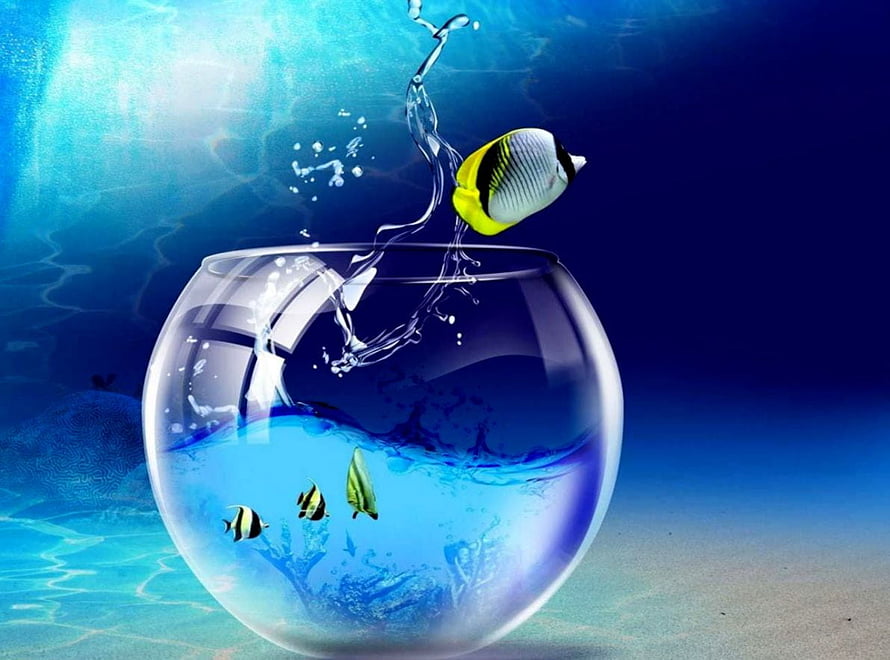 Tropical Fish Leaping Out of a Glass Bowl Underwater Scene HD wallpaper