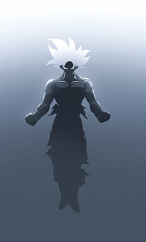 Goku Dragon Ball Z Super Saiyan Silhouette with White Hair and Muscular Build HD phone wallpaper