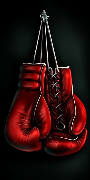 Red Boxing Gloves Hanging on a Hook Against a Dark Background HD phone wallpaper