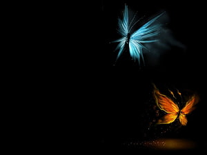 Glowing Blue and Orange Butterflies Flying in the Dark with Magical Sparkles HD wallpaper