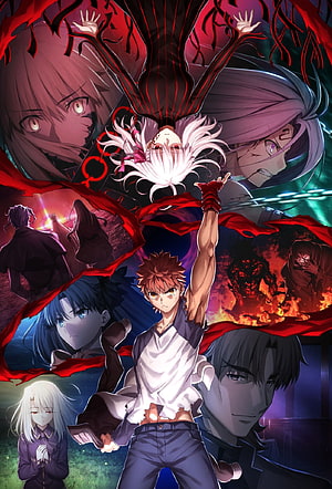 Fate/stay Night Heaven's Feel Anime Poster Featuring Shirou Emiya and Key Characters HD phone wallpaper