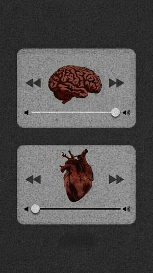 Brain and Heart Anatomical Illustrations on Dark Textured Background HD phone wallpaper