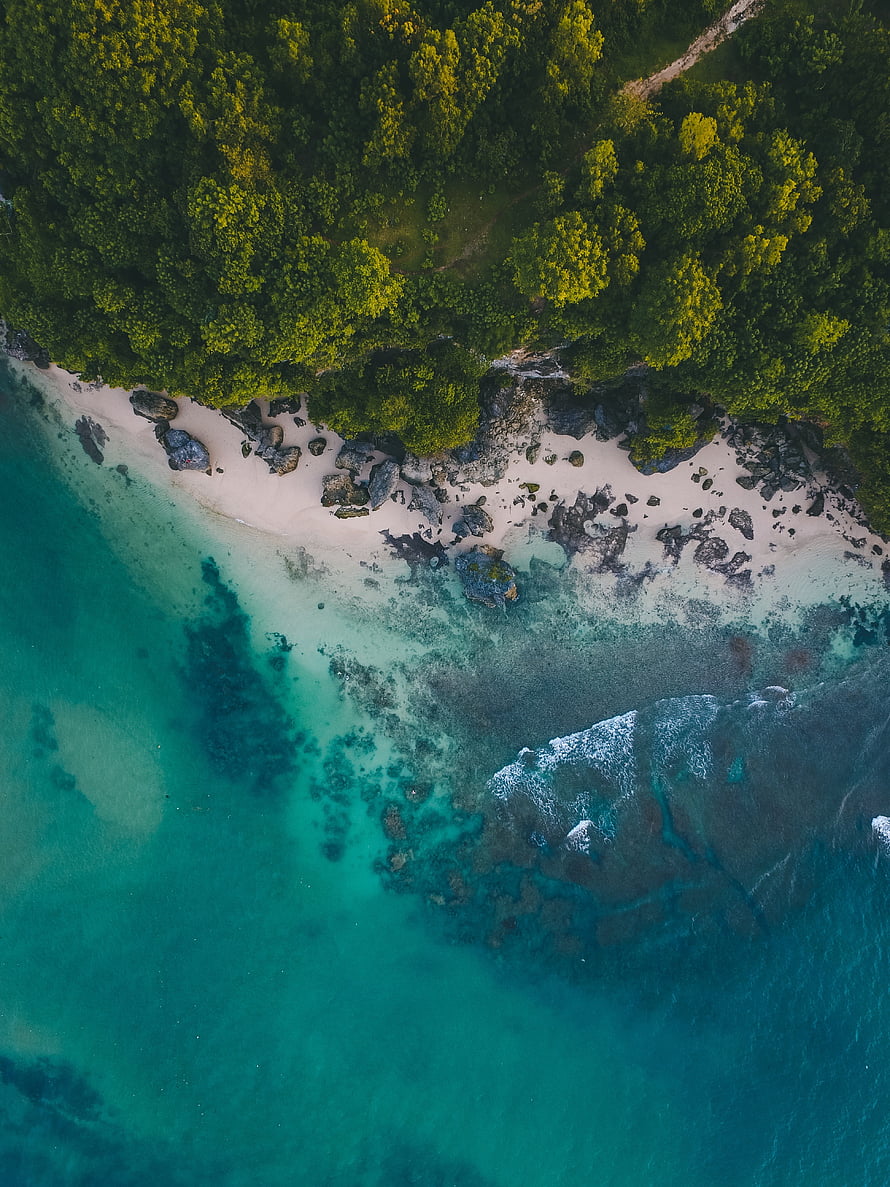 Aerial View of Turquoise Ocean Meeting White Sandy Beach and Lush Green Forest HD phone wallpaper