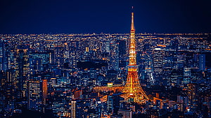 Tokyo Skyline at Night with Tokyo Tower Illuminated Against a Deep Blue Sky HD wallpaper