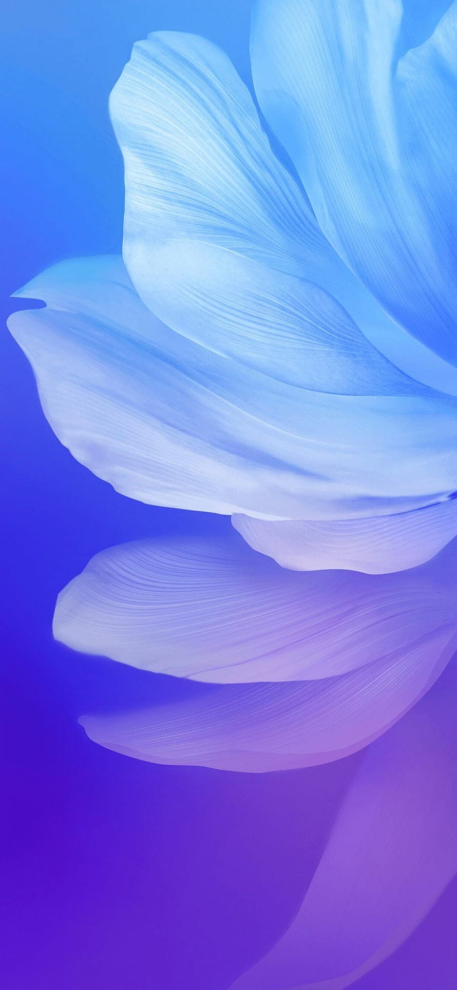 Abstract Blue and Purple Flower Petals with Soft Gradient Background HD phone wallpaper