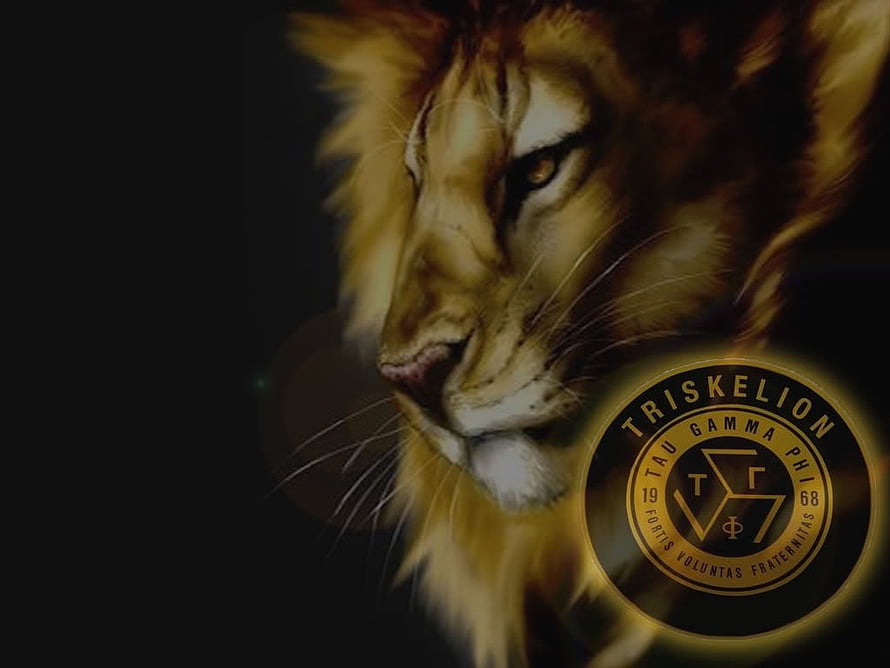 Majestic Lion Profile With Triskelion Tau Gamma Phi Fraternity Emblem On Dark Background HD wallpaper