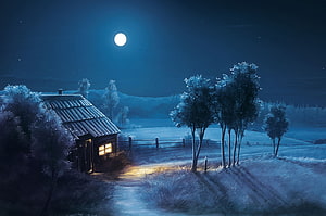 Serene Winter Night Landscape With Cozy Cabin And Full Moon HD wallpaper