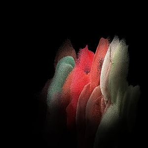 Vibrant Colored Powder Explosion on Black Background Abstract Art HD phone wallpaper