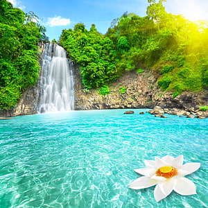 Tropical Waterfall with Turquoise Pool and White Lotus Flower in Lush Jungle HD phone wallpaper