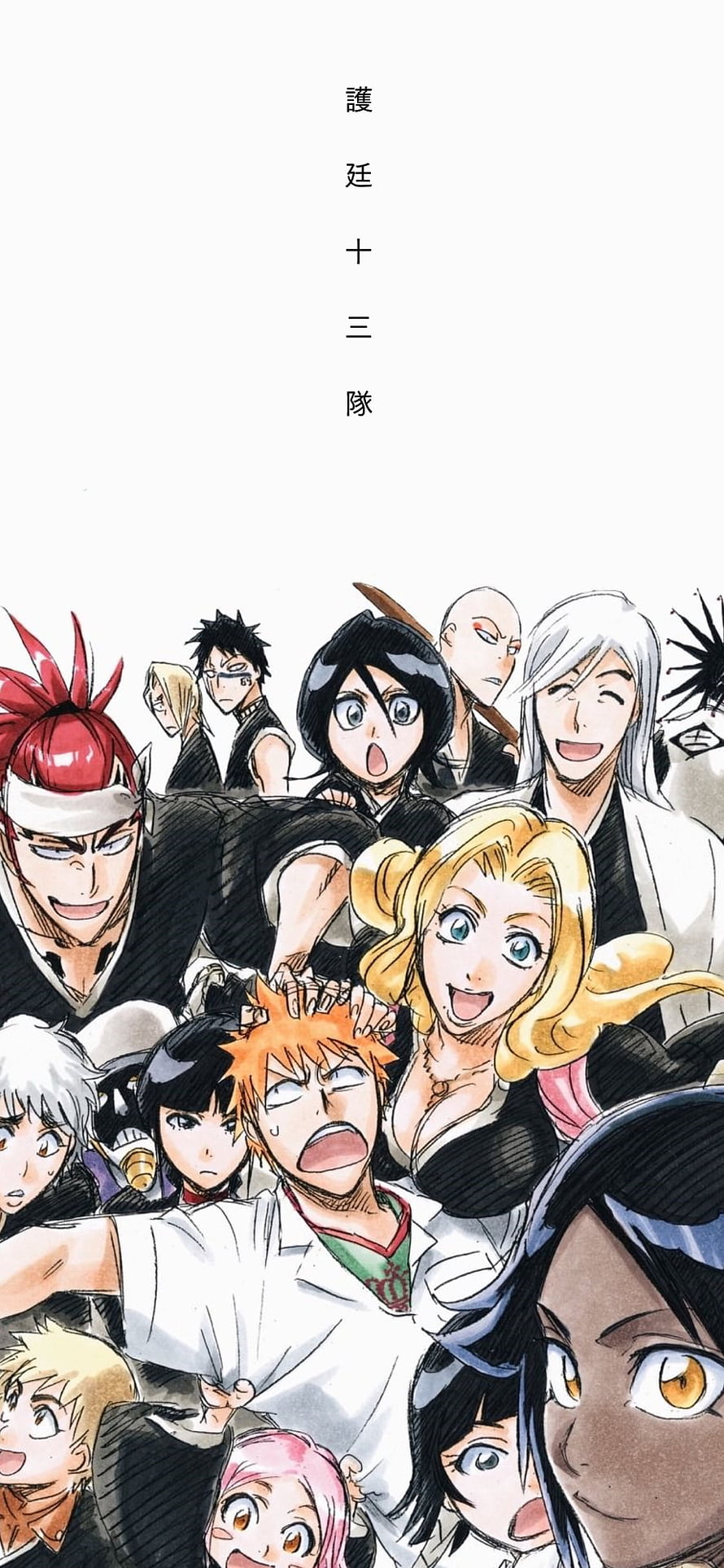 Bleach Gotei 13 Group Portrait Anime Wallpaper HD phone wallpaper